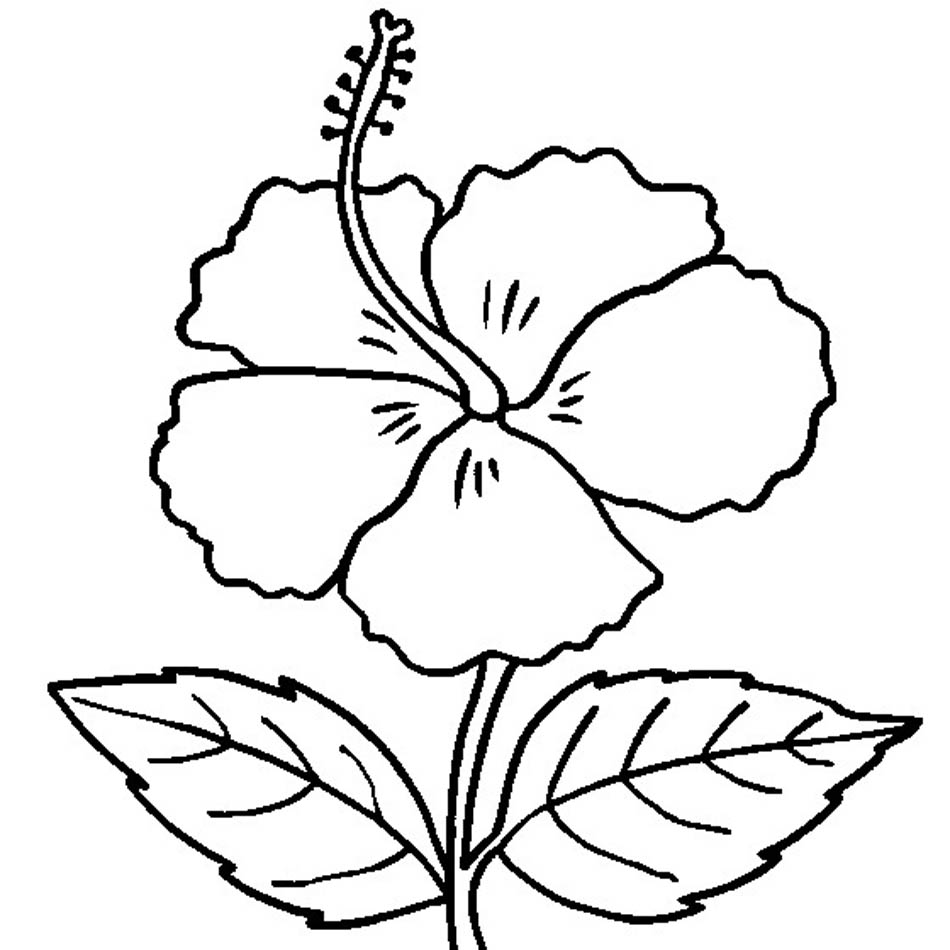 Hibiscus Coloring Page