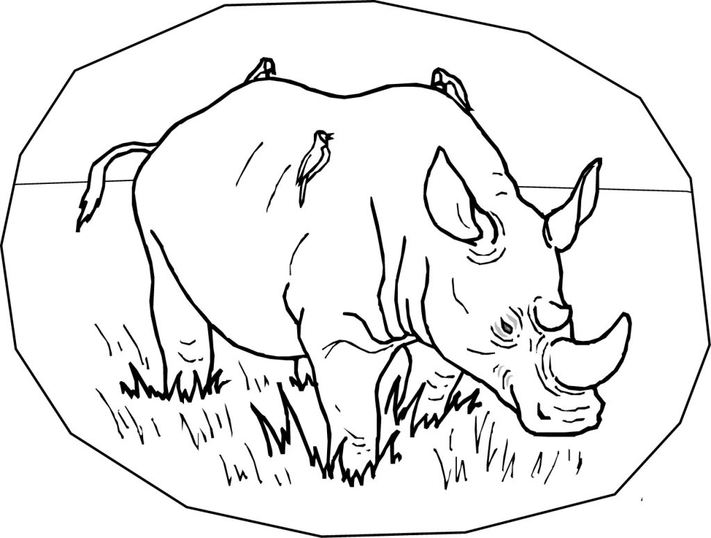 Free Printable Rhinoceros Coloring Pages