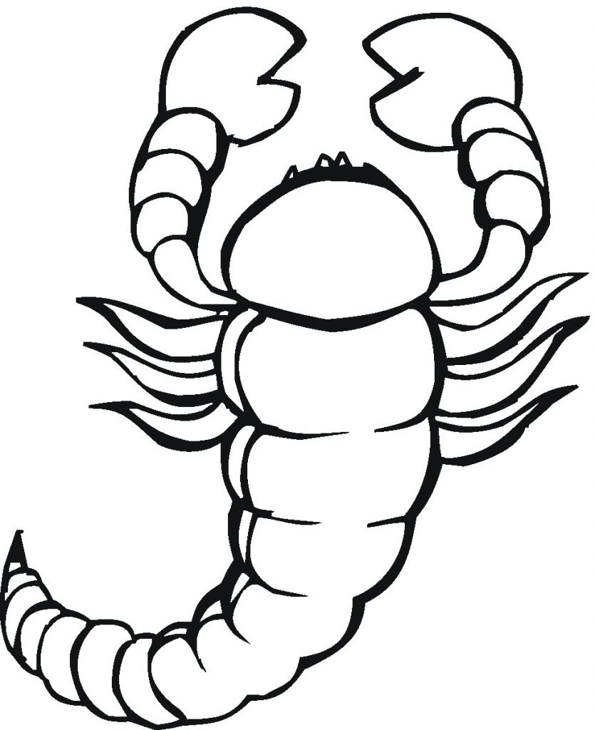 Free Printable Scorpion Coloring Pages