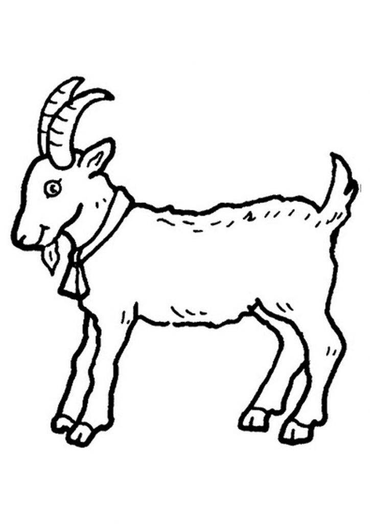 Goat Coloring Pages