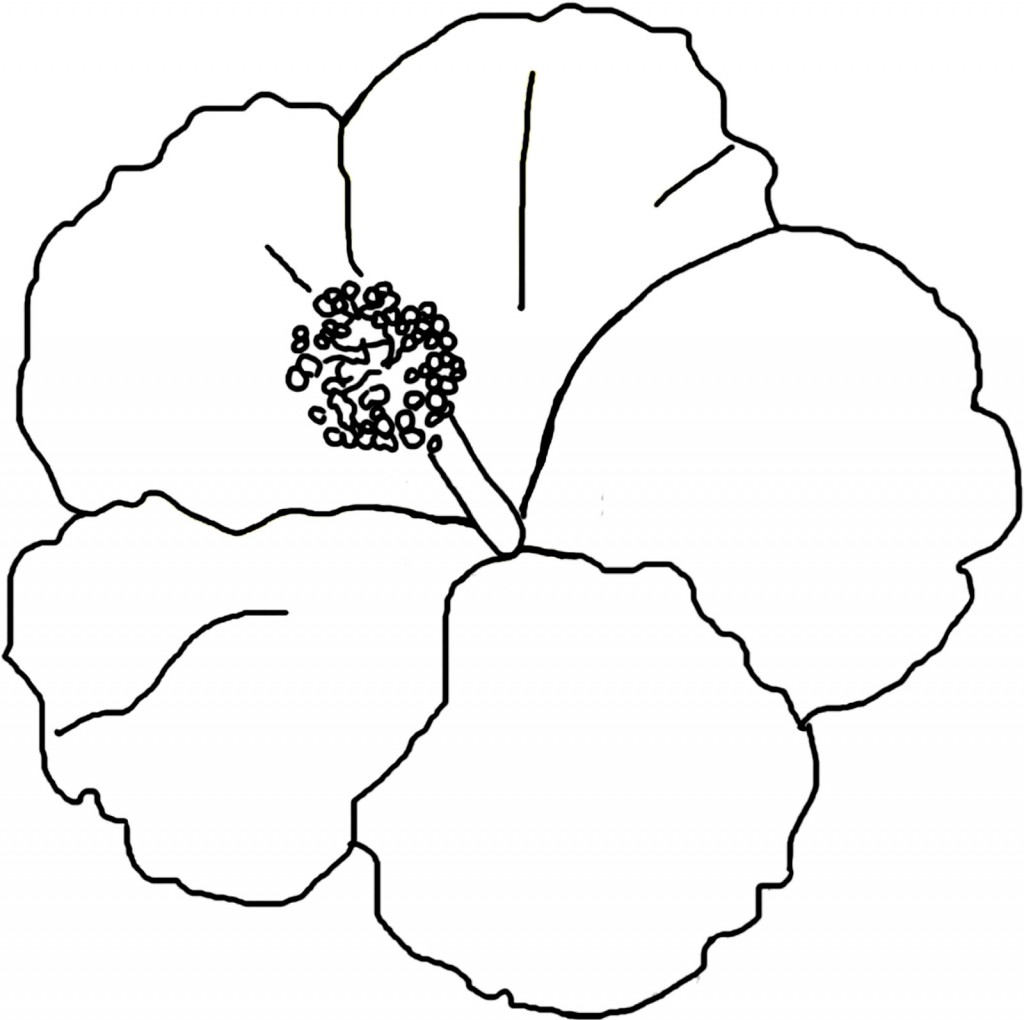 Hibiscus Coloring Pages