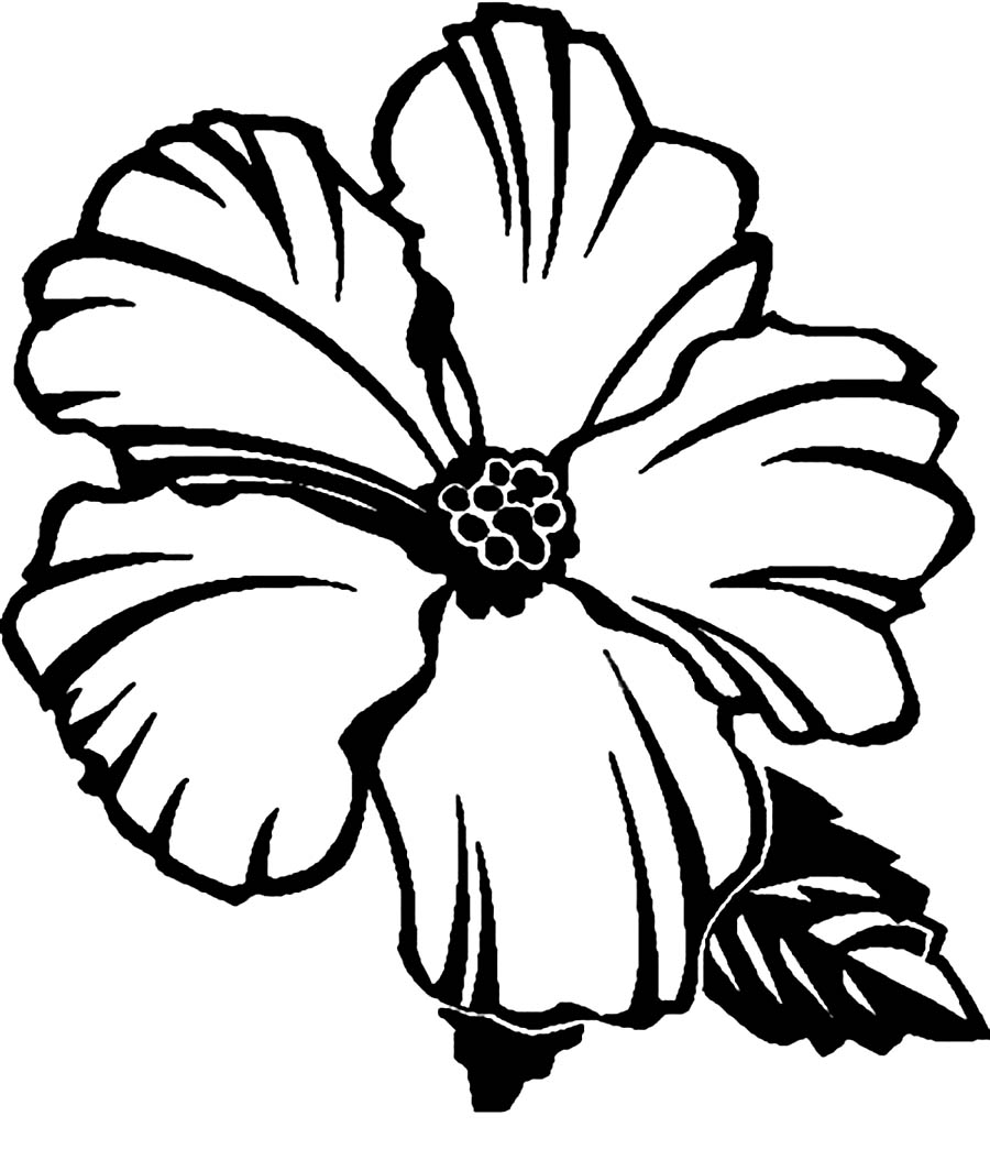 Download Free Printable Hibiscus Coloring Pages For Kids