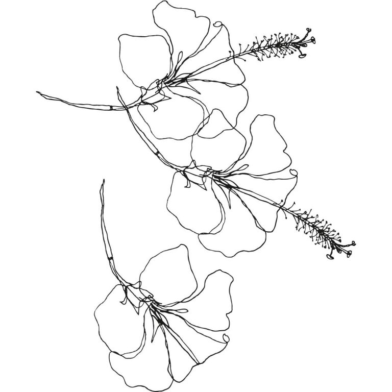 Free Printable Hibiscus Coloring Pages For Kids