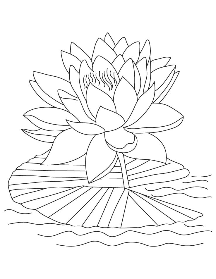 Free Printable Lotus Coloring Pages For Kids