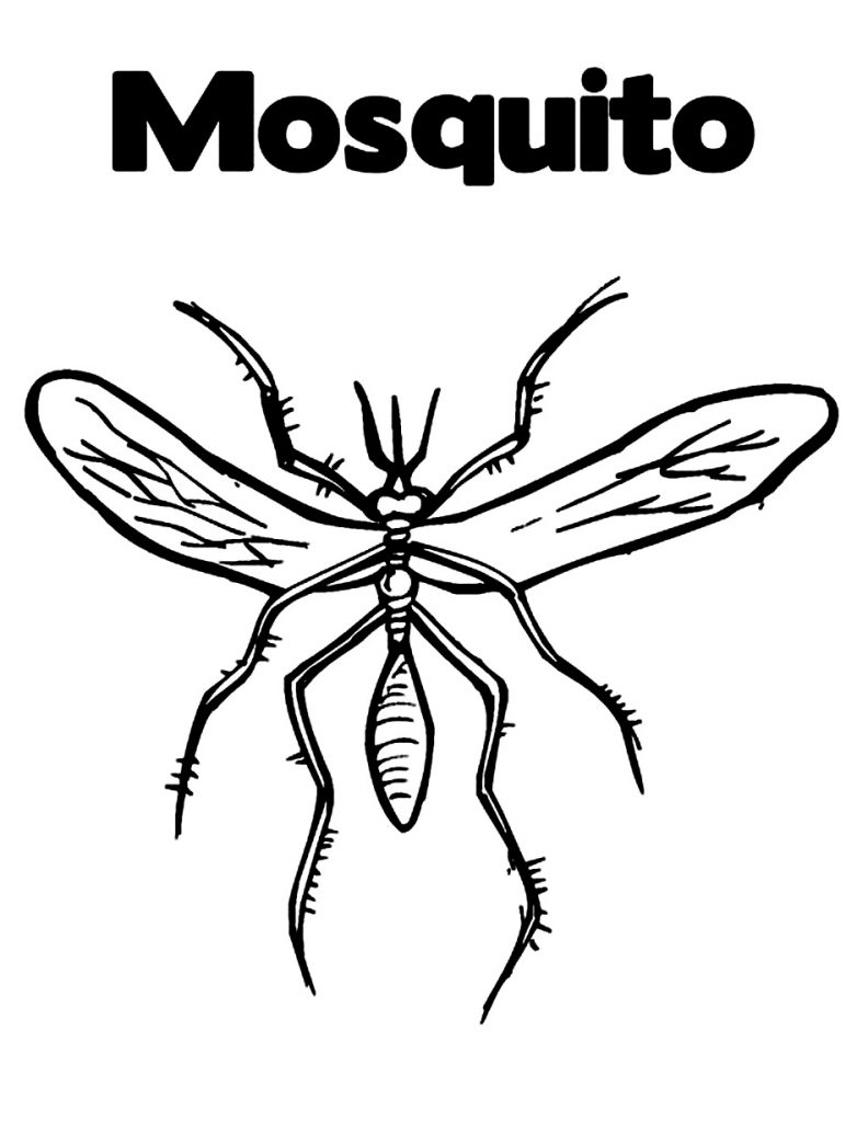 Mosquito Coloring Pages Photos