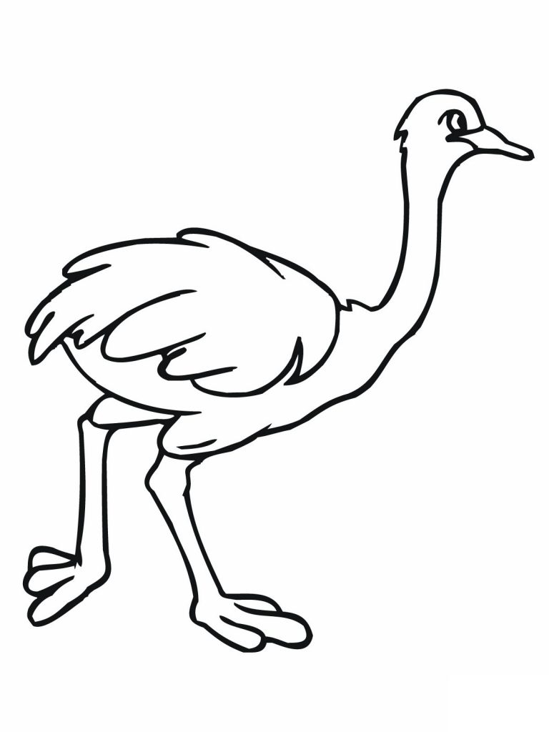 Ostrich Coloring Pages