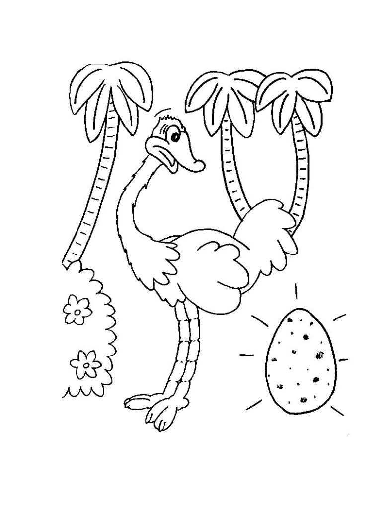 Ostrich Coloring Pages Pictures