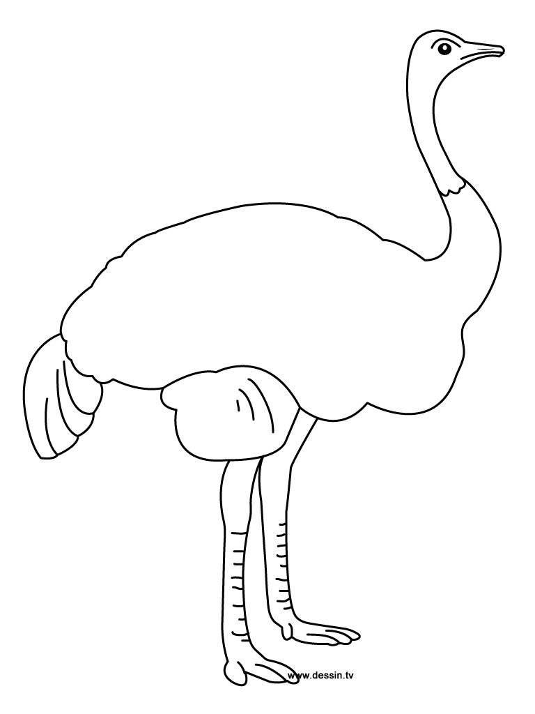 Ostrich Coloring Pages Printable