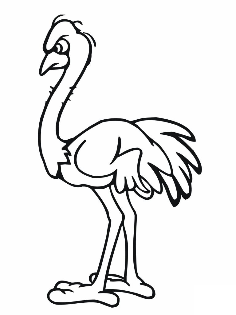 Ostrich Coloring Pages to Print