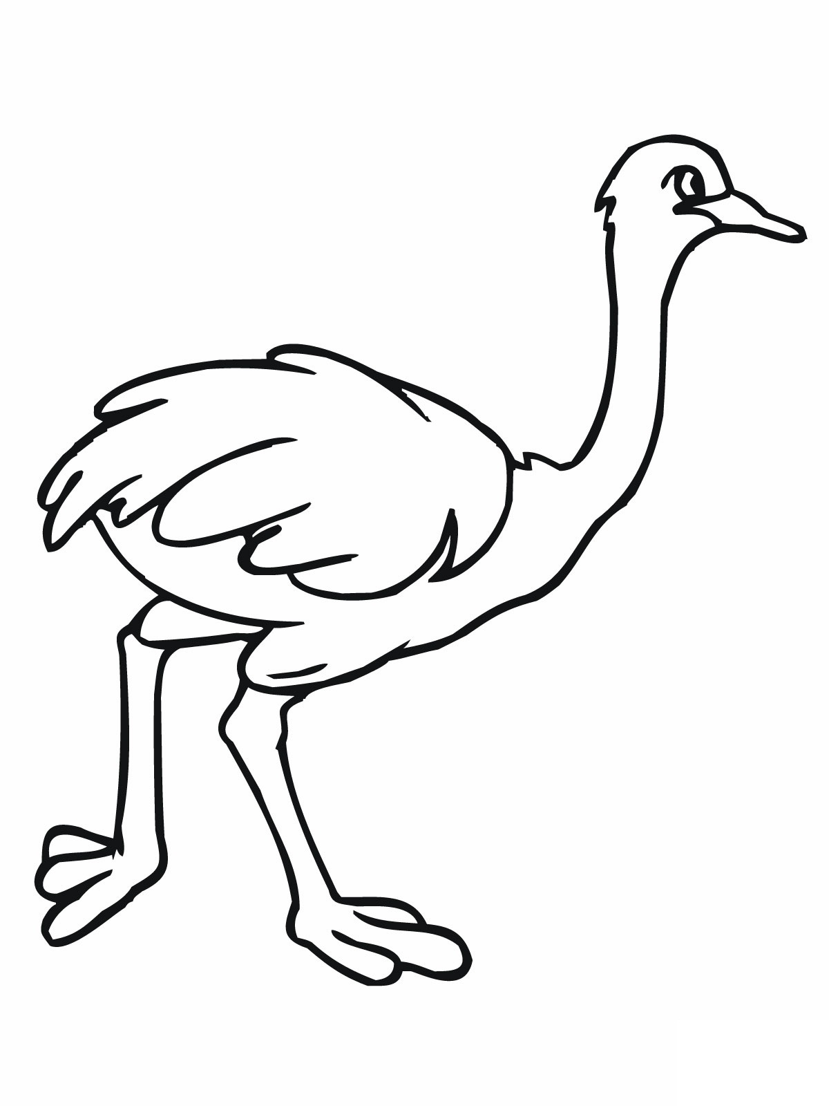 Free Printable Ostrich Coloring Pages For Kids Coloring Wallpapers Download Free Images Wallpaper [coloring654.blogspot.com]