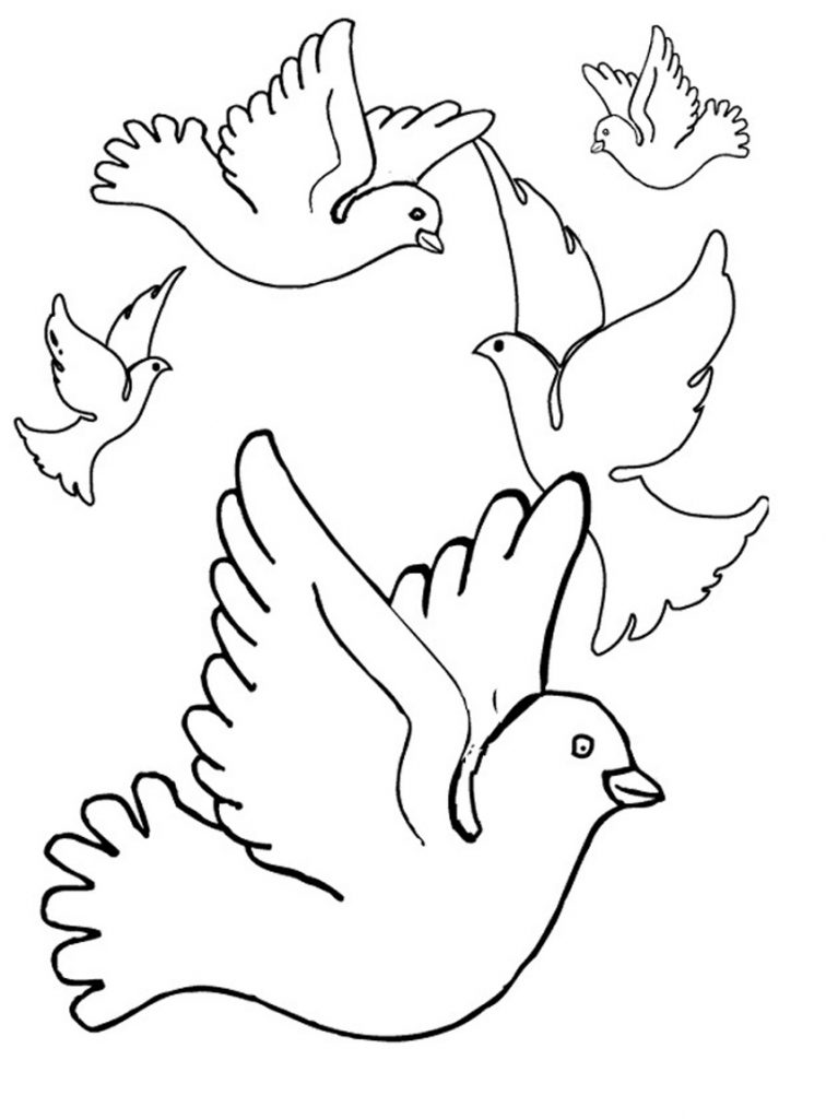 Pigeon Coloring Page Printable