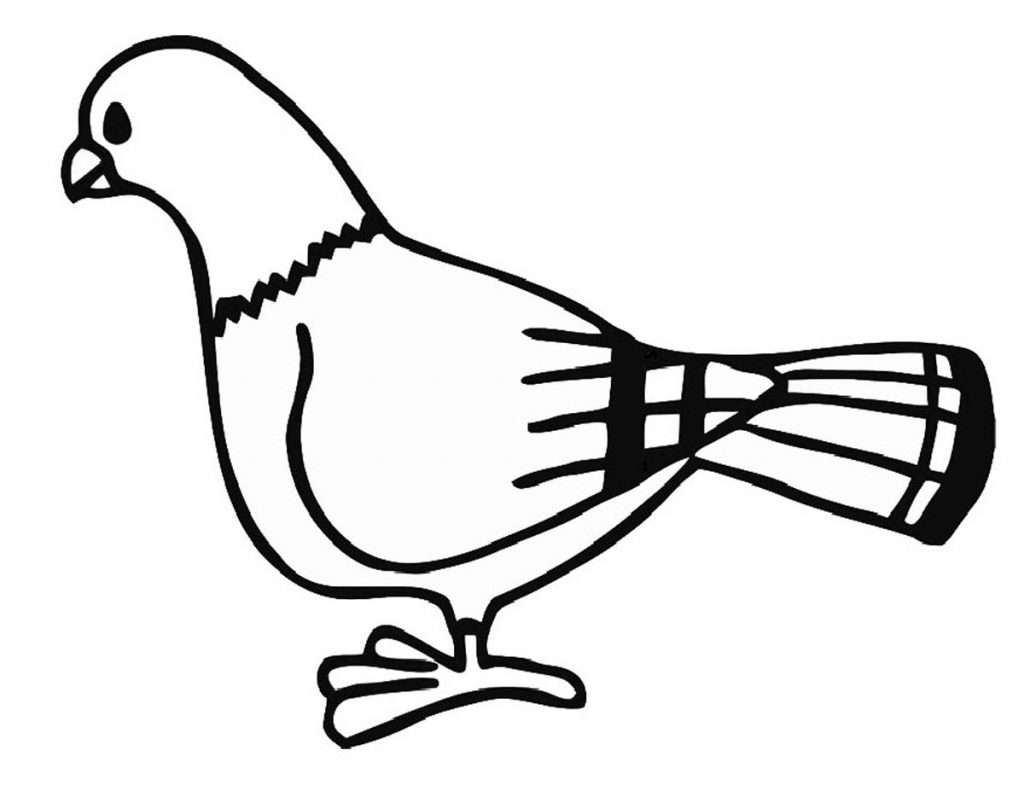 Pigeon Coloring Pages for Kids