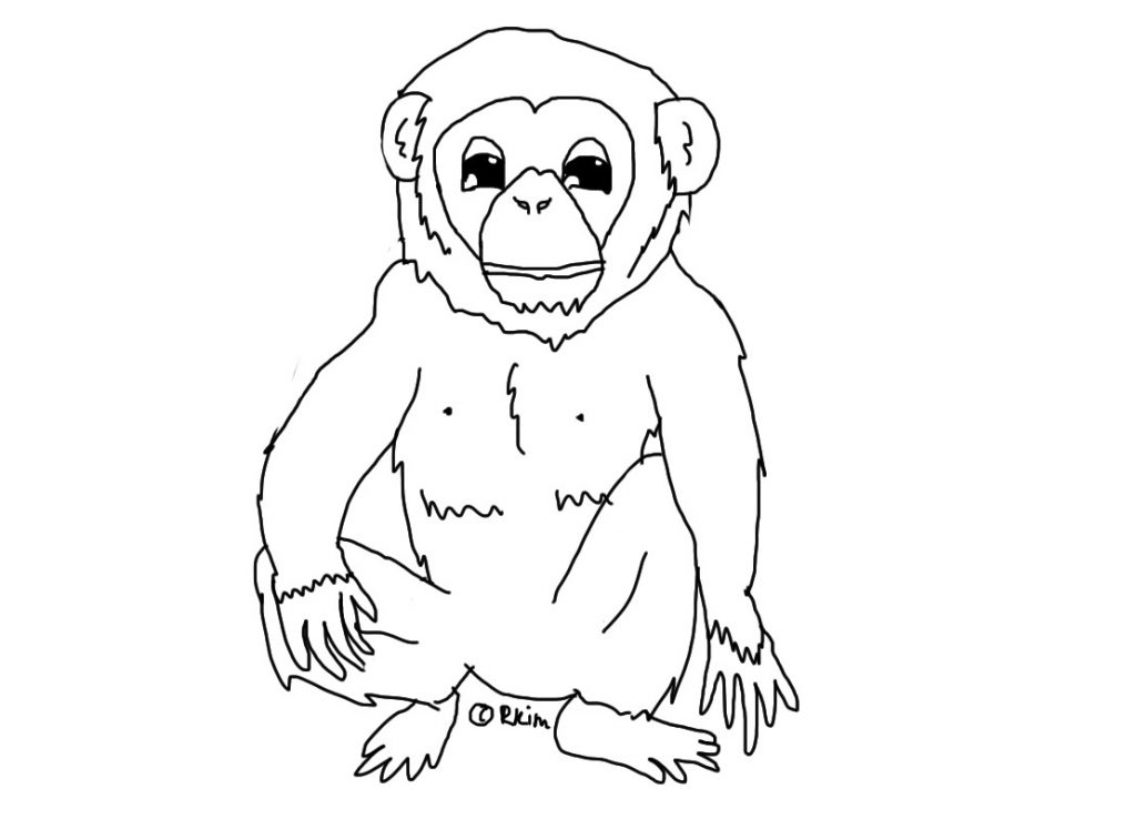 Printable Chimpanzee Coloring Pages