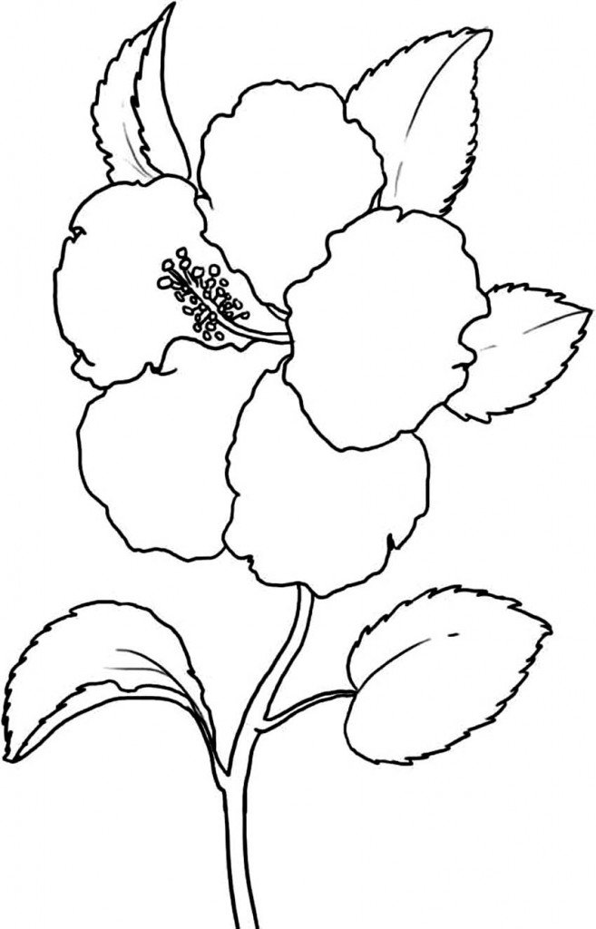 Printable Hibiscus Flower Coloring Pages