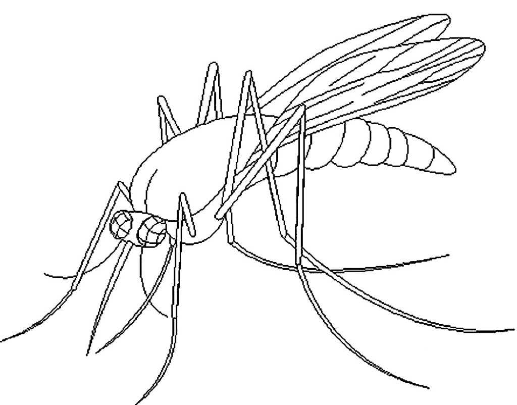 Printable Mosquito Coloring Pages