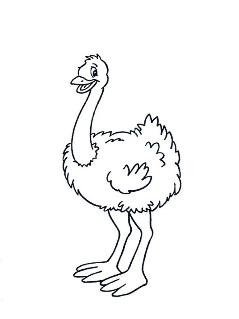 Printable Ostrich Coloring Page