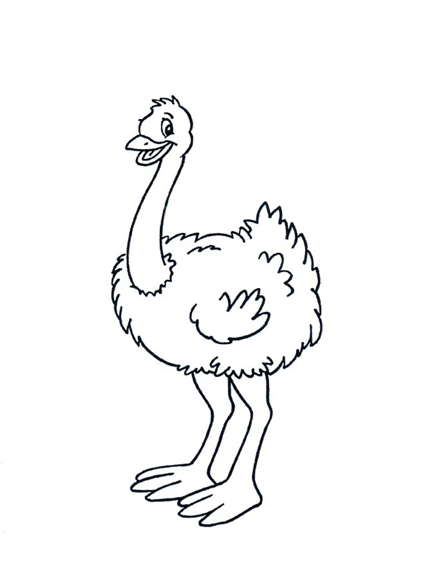 Ostrich Eggs Coloring Page