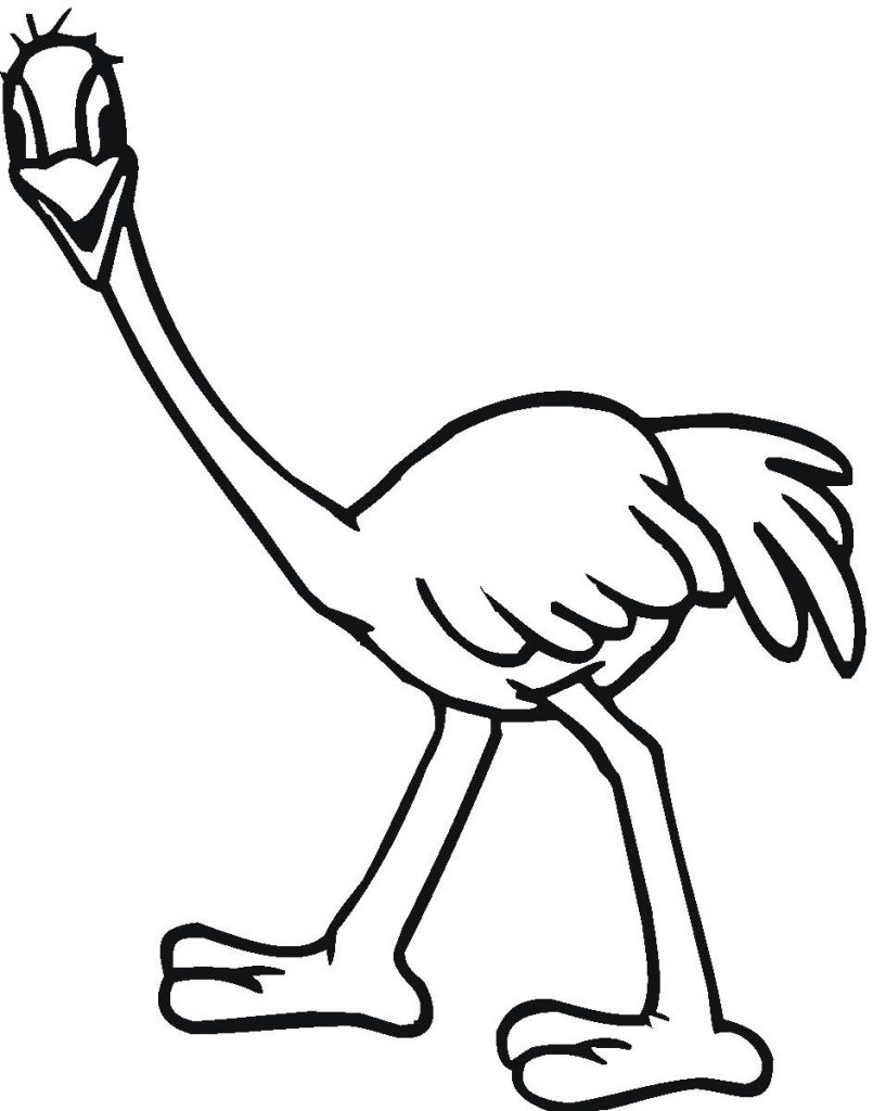 Printable Ostrich Coloring Pages