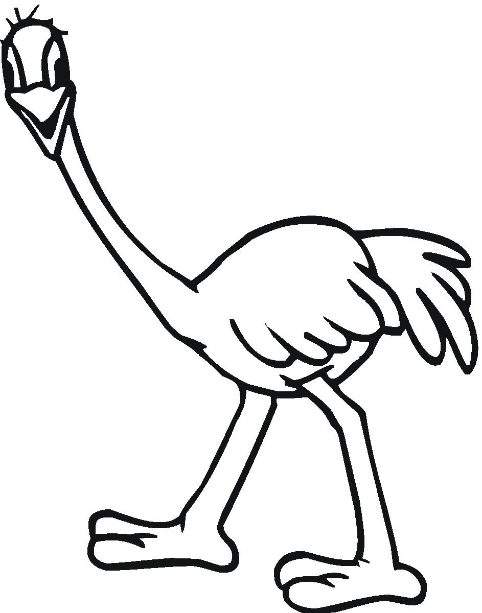 Download Free Printable Ostrich Coloring Pages For Kids