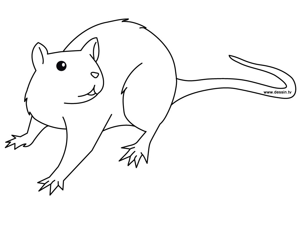 Printable Rat Coloring Pages
