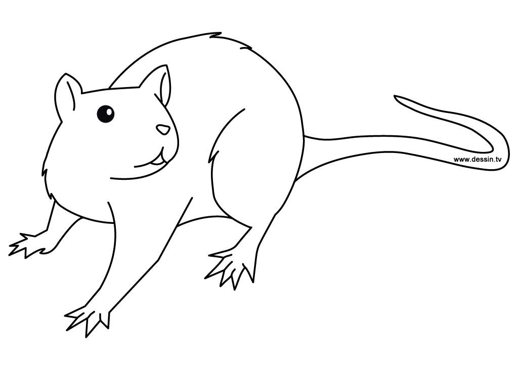 free-printable-rat-coloring-pages-for-kids