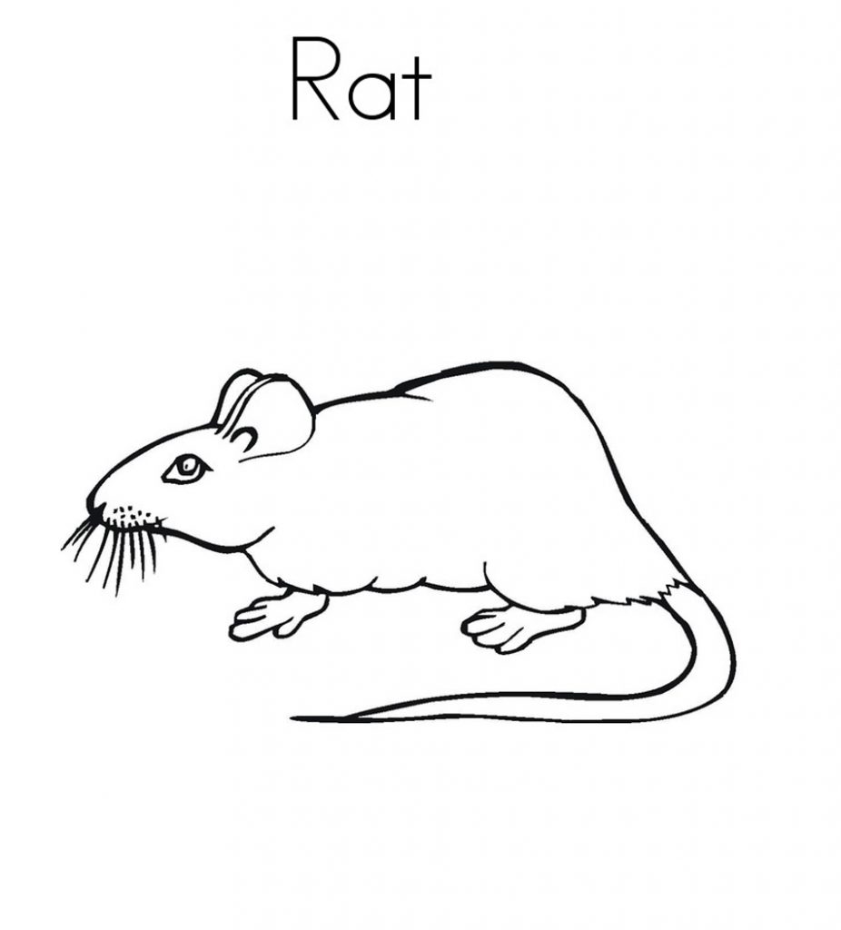 free-printable-rat-coloring-pages-for-kids