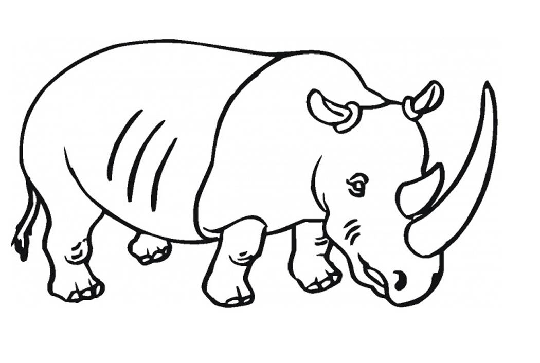 Free Printable Rhinoceros Coloring Pages For Kids