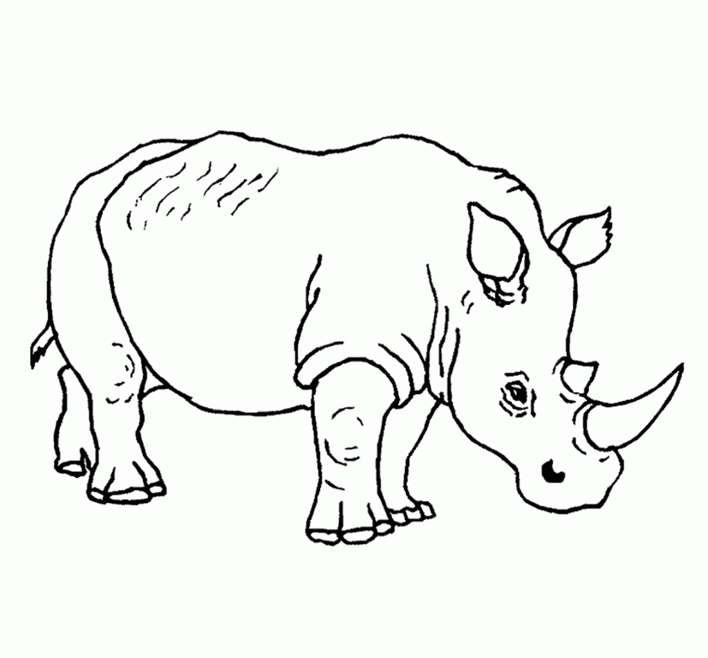 Rhinoceros Coloring Pages