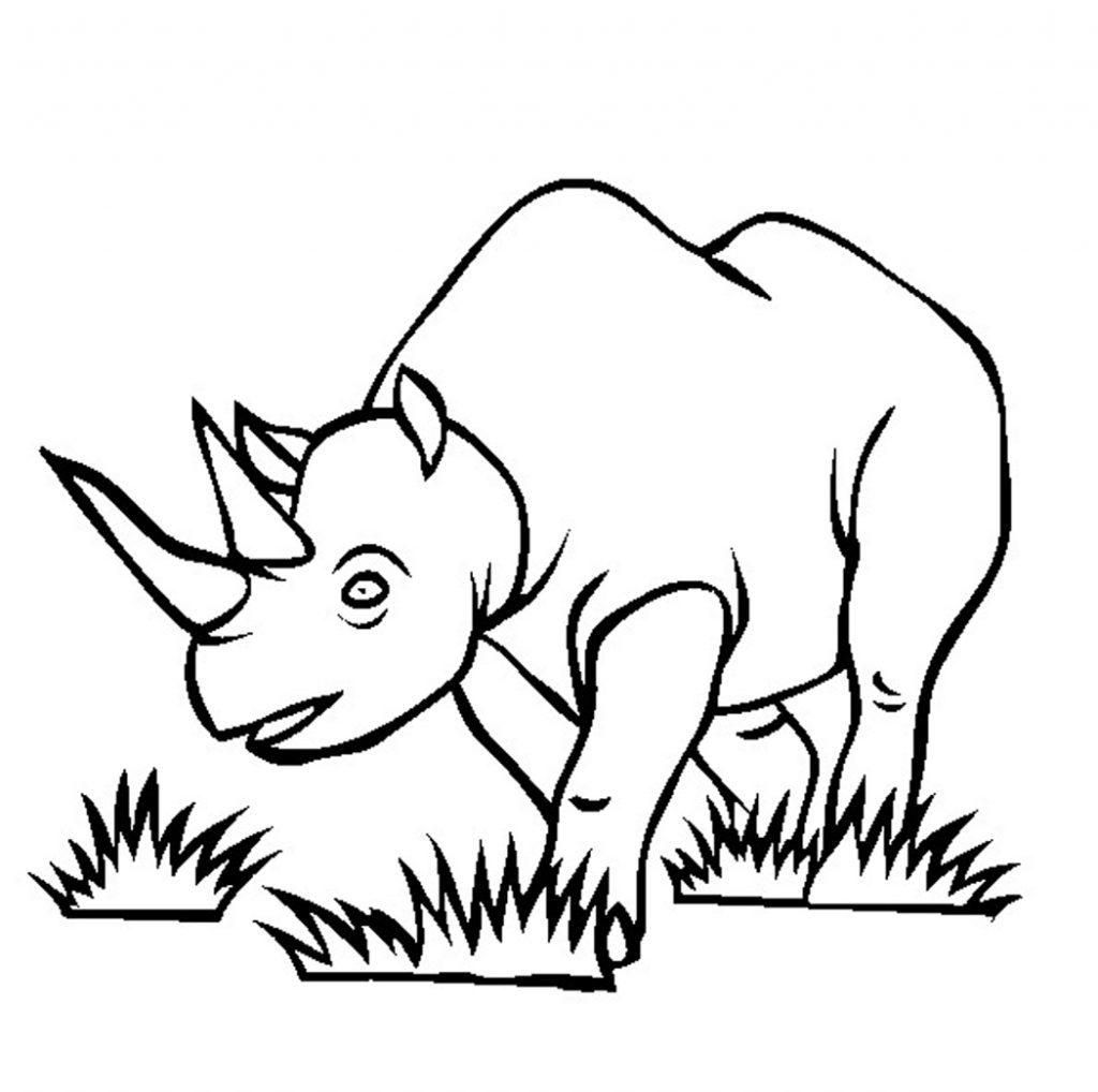 Rhinoceros Coloring Pages for Kids