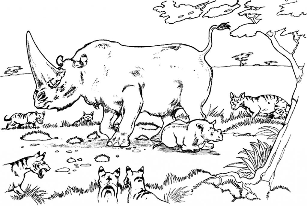 Rhinoceros Coloring Pages to Print