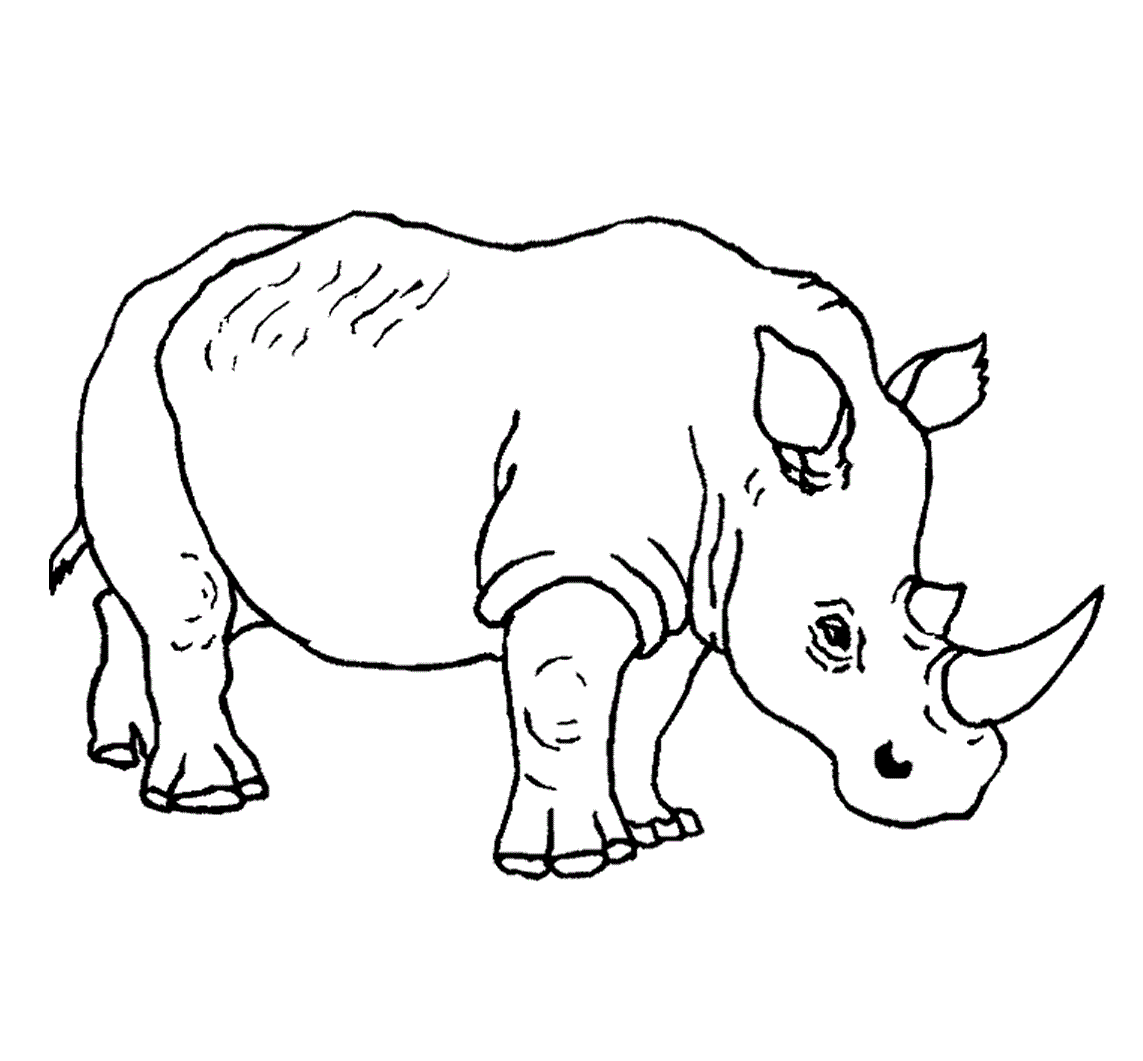 Free Printable Rhinoceros Coloring Pages For Kids