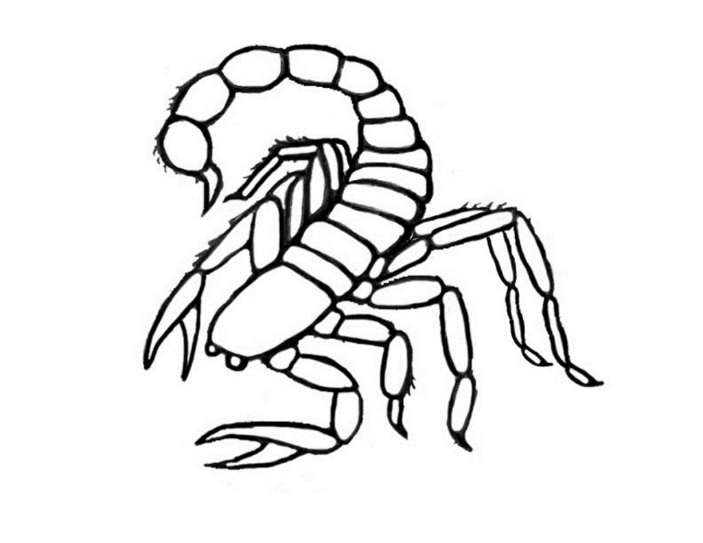 Free Printable Scorpion Coloring Pages For Kids