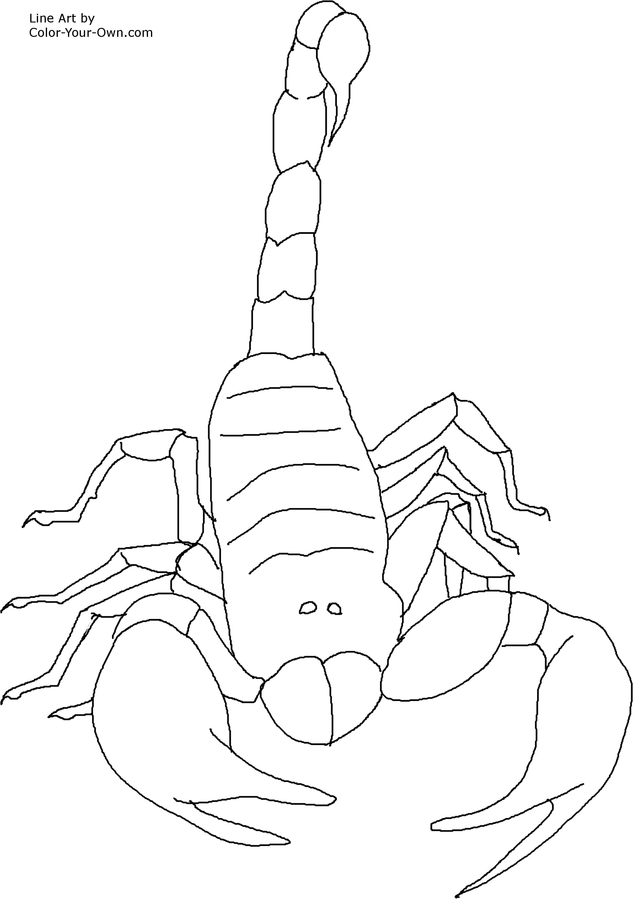 get over here scorpion coloring pages