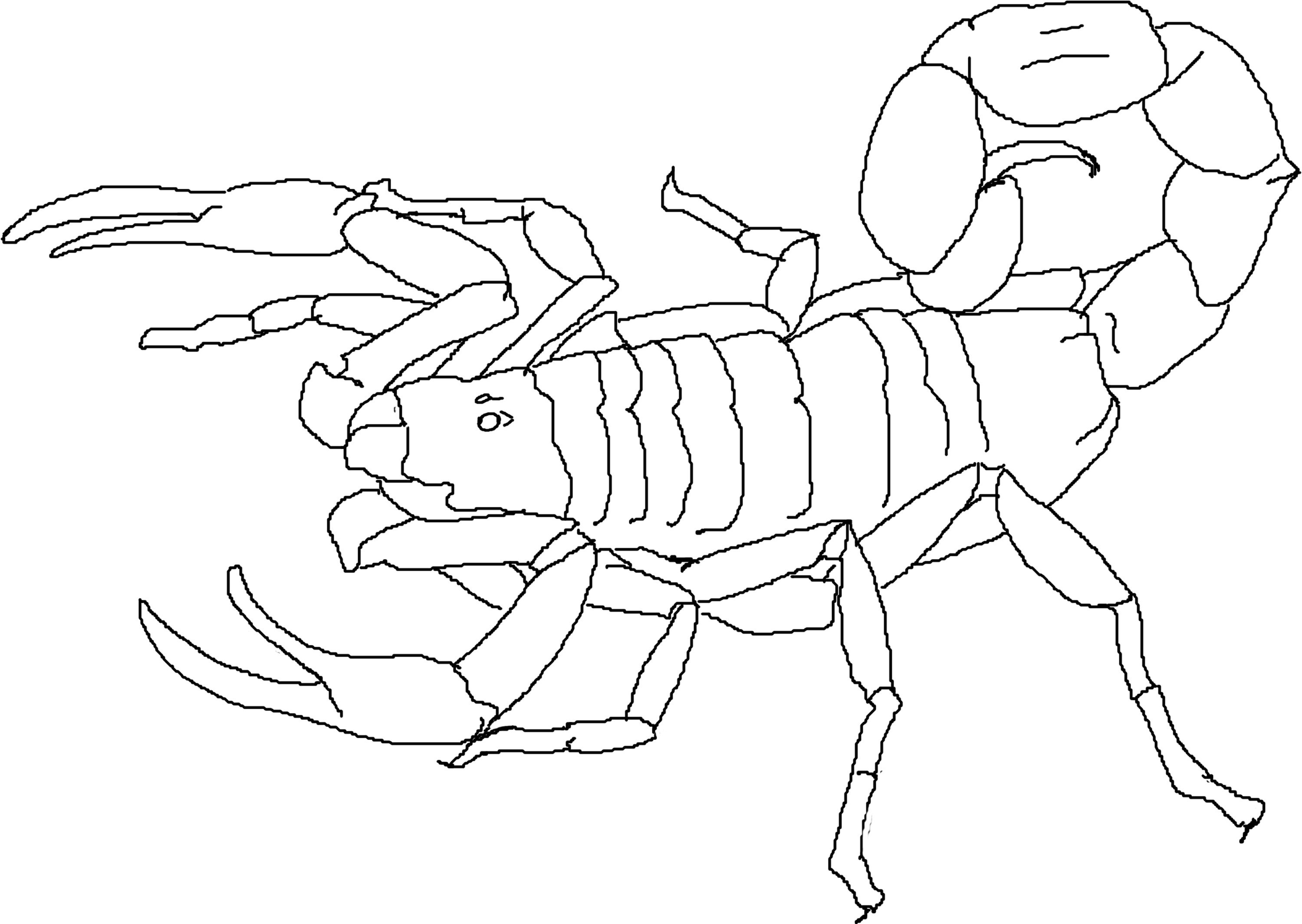 21 Coloring Pages Scorpion AitchAeriesh