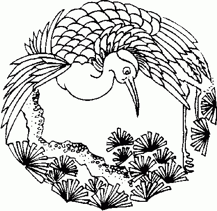 free printable mandala coloring pages for adults  best