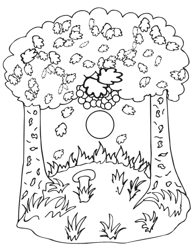Fall Nature Scene Coloring Page