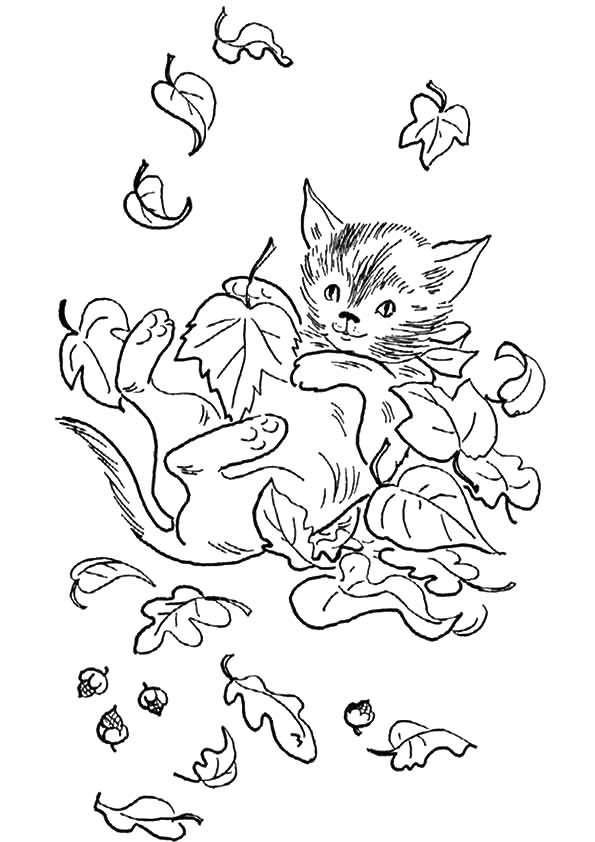 Kitten In Fall Leaves Coloring Page