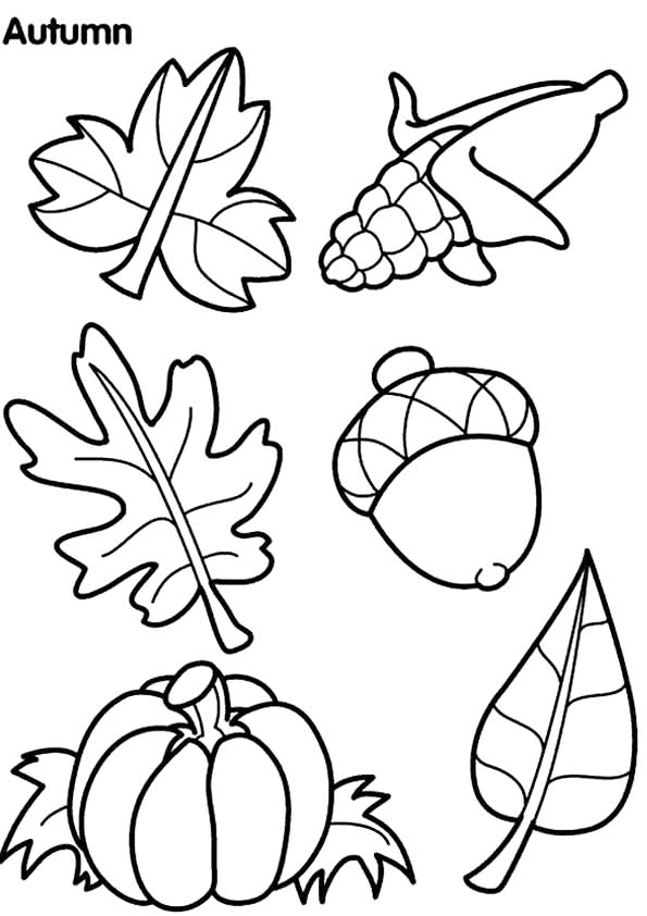 Symbols Of Autumn Coloring Page