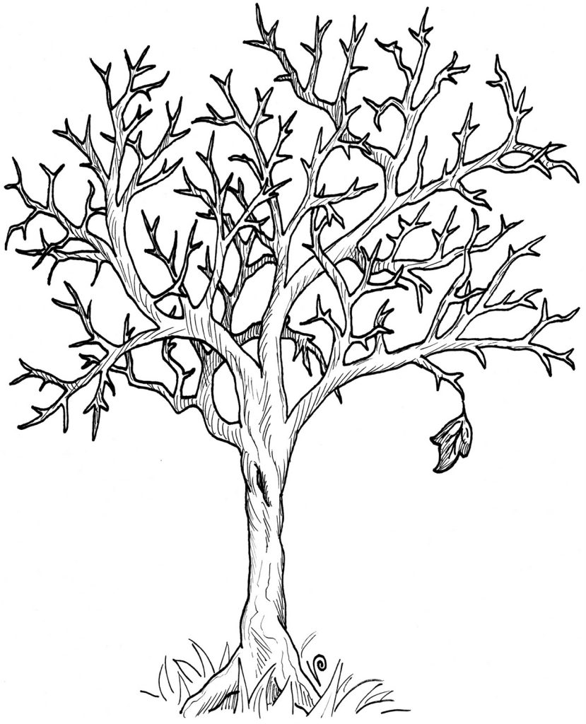 Tree In Fall Coloring Page