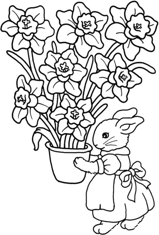 Bunny And Daffodils Coloring Page