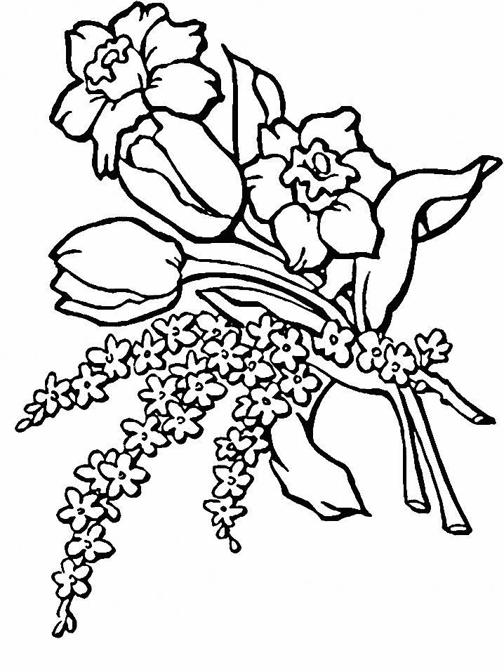 Free Printable Flower Coloring Pages For Kids Best Coloring Pages For Kids