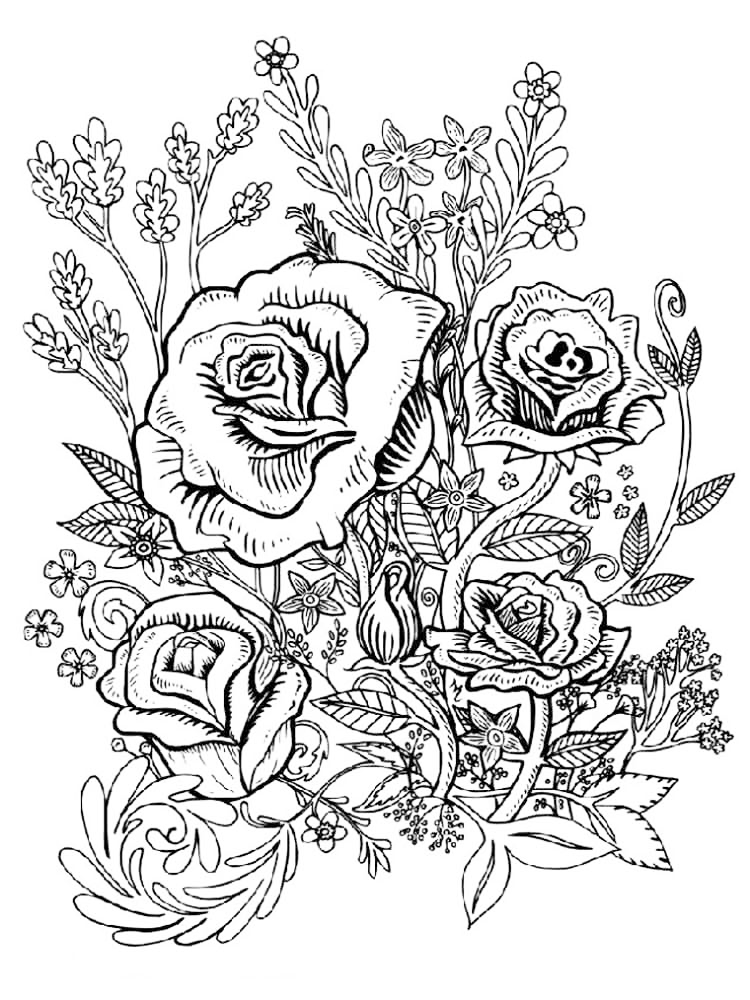 Rose Flower Coloring Page