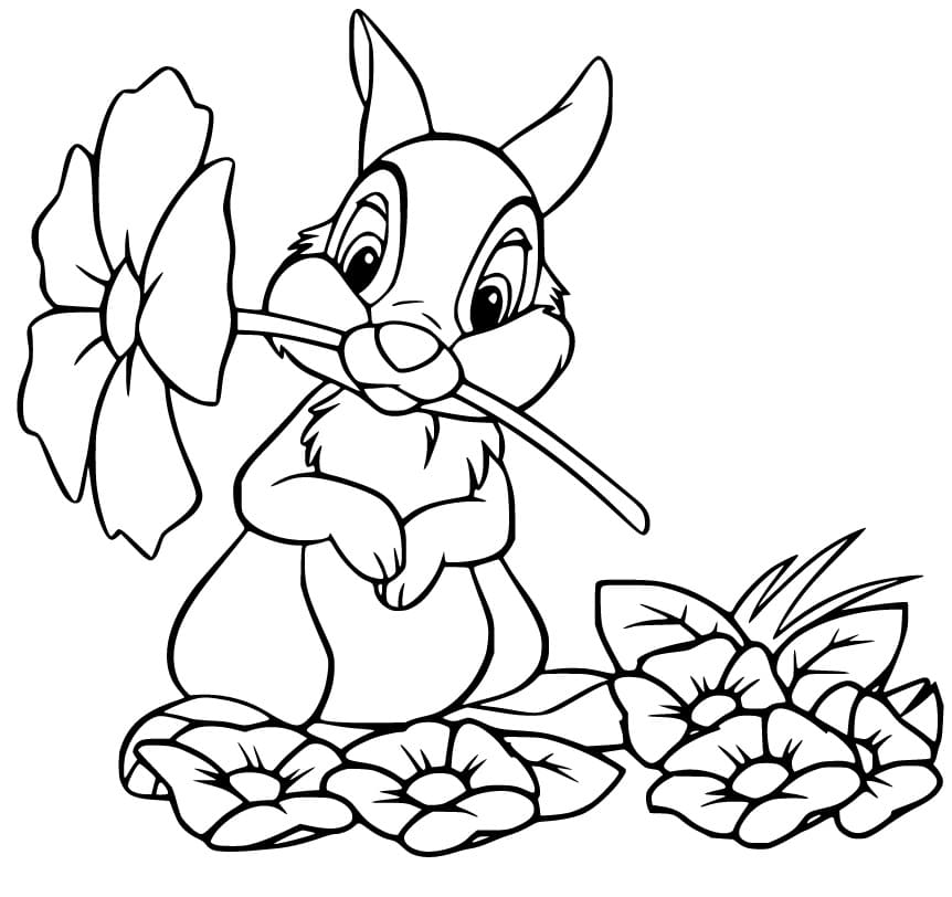 Thumper Has A Flower Coloring Page