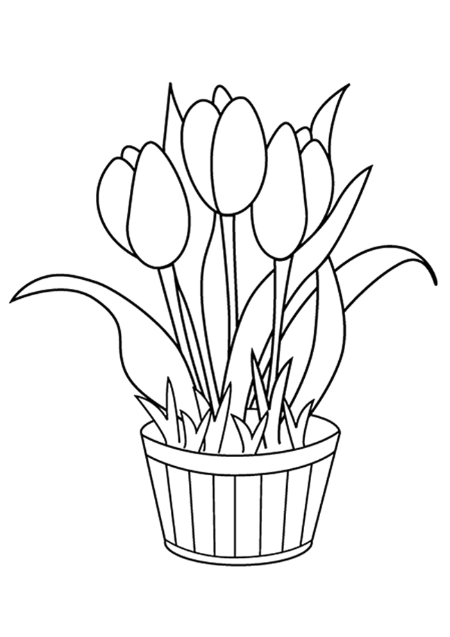 Tulip Flowers Coloring Page