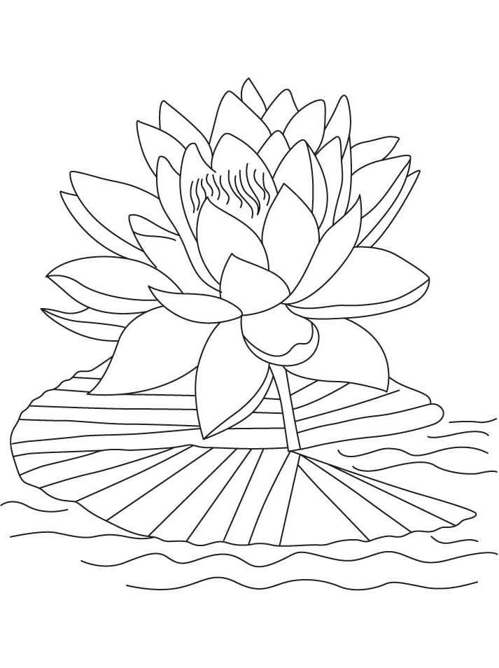 Water Flowers Coloring Page