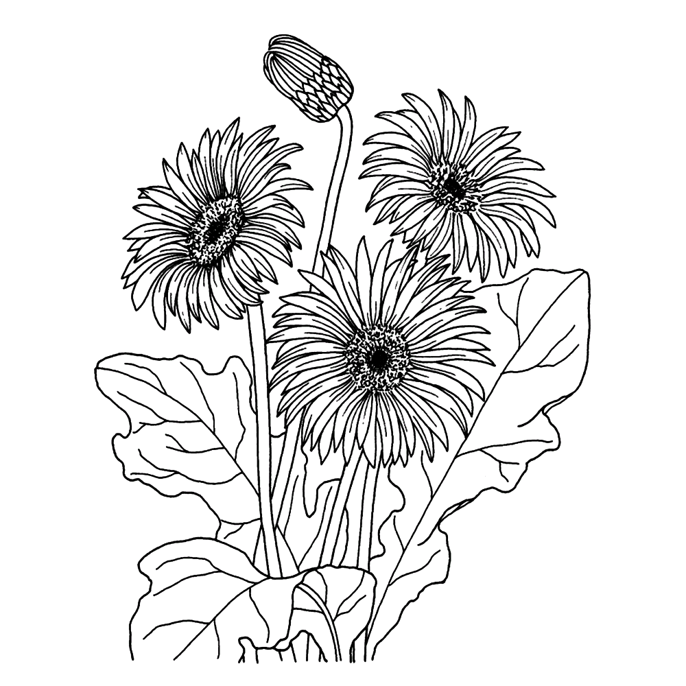Wild Flowers Coloring Page