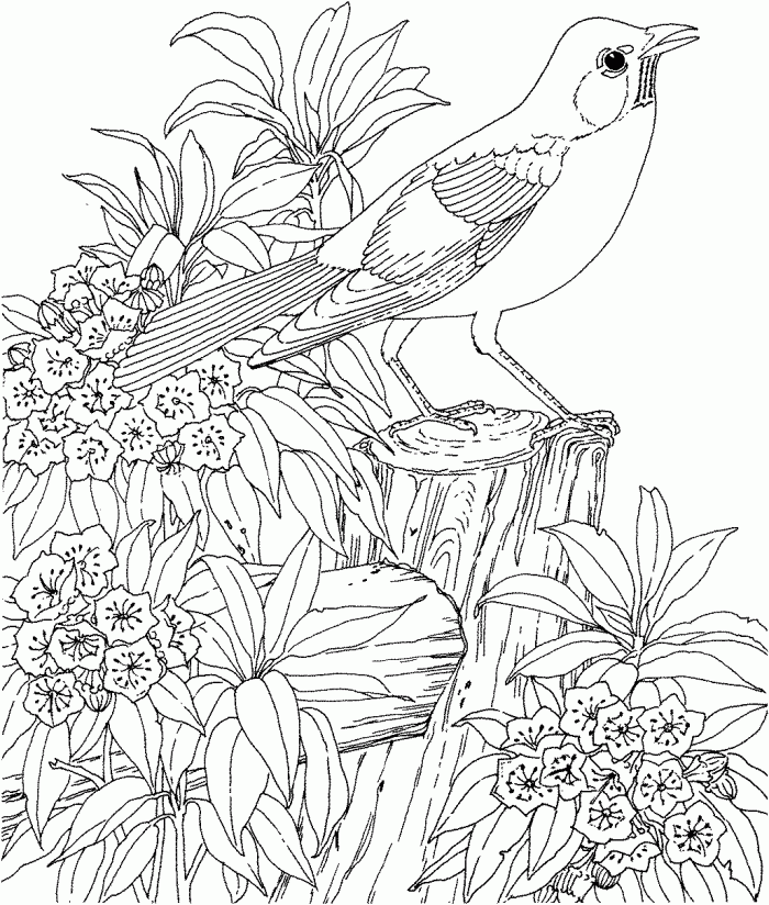 Hard Coloring Pages for Adults - Best Coloring Pages For Kids