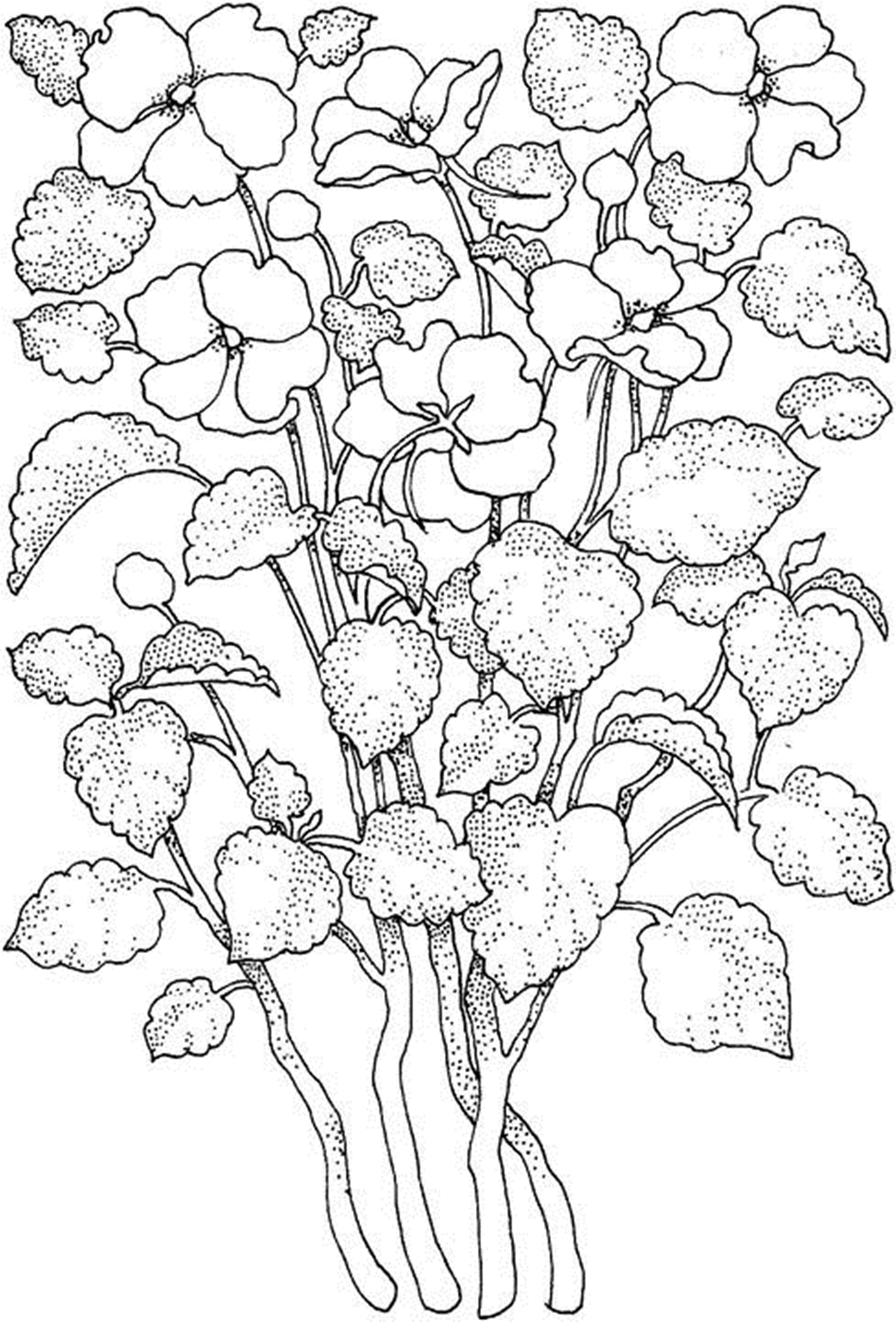 Printable Coloring Sheets Of Flowers