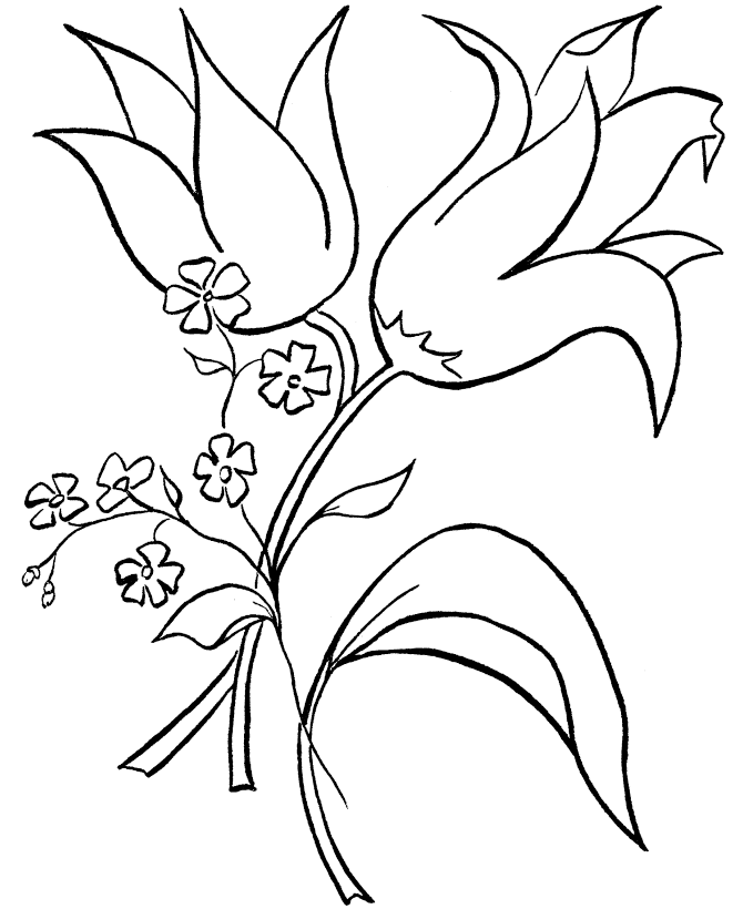 Featured image of post Flower Drawing For Kids Printable - These simple floral drawings would look great in your sketchbook, dot journal or planner.