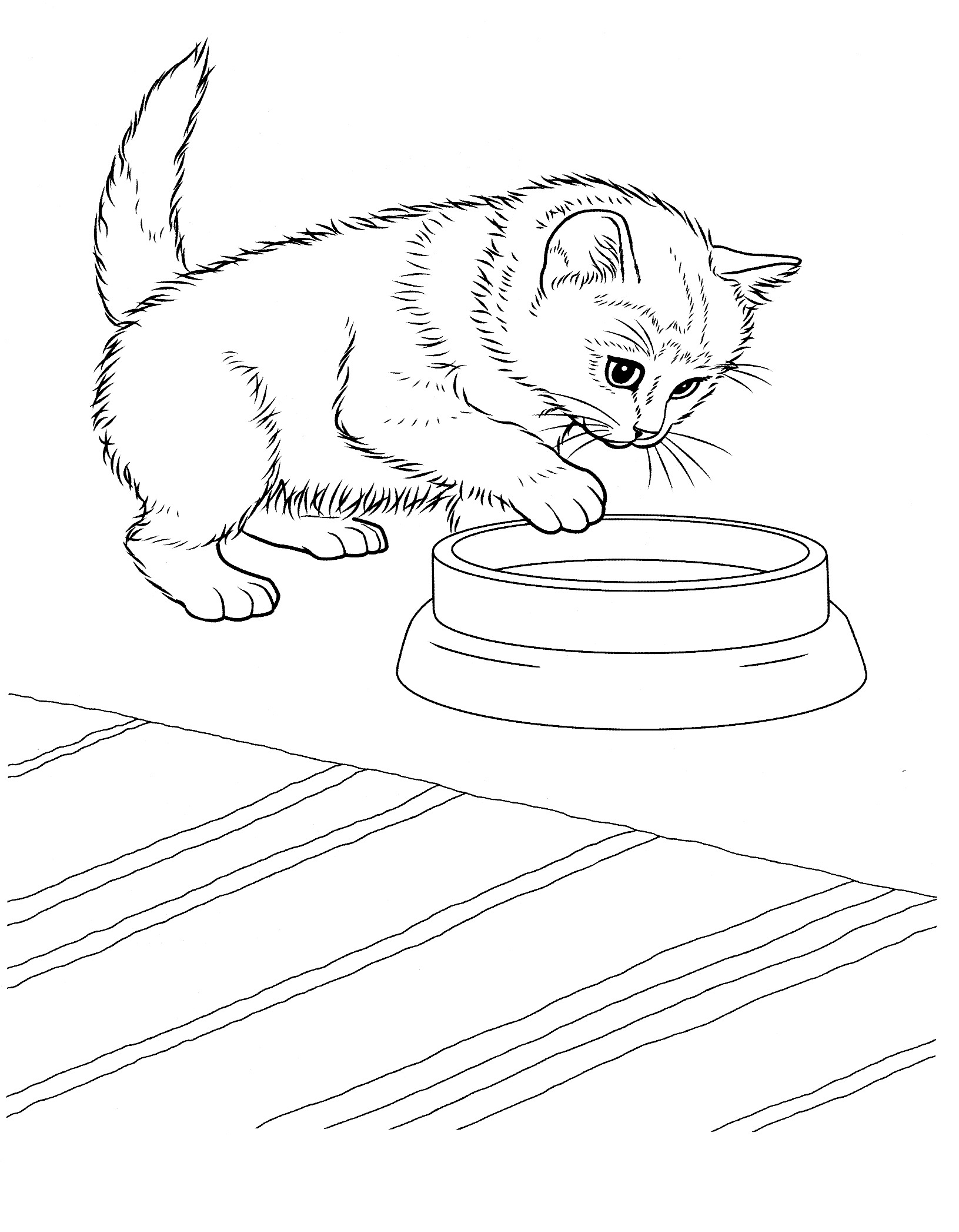 Kitten Coloring Pages Free Printable